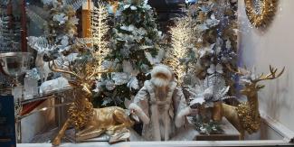 DS Christmas Windows