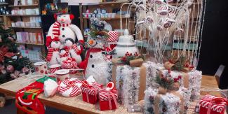 Department Store Christmas pic